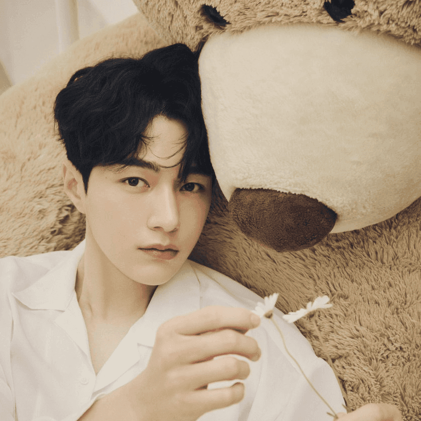 Photo of L (INFINITE)