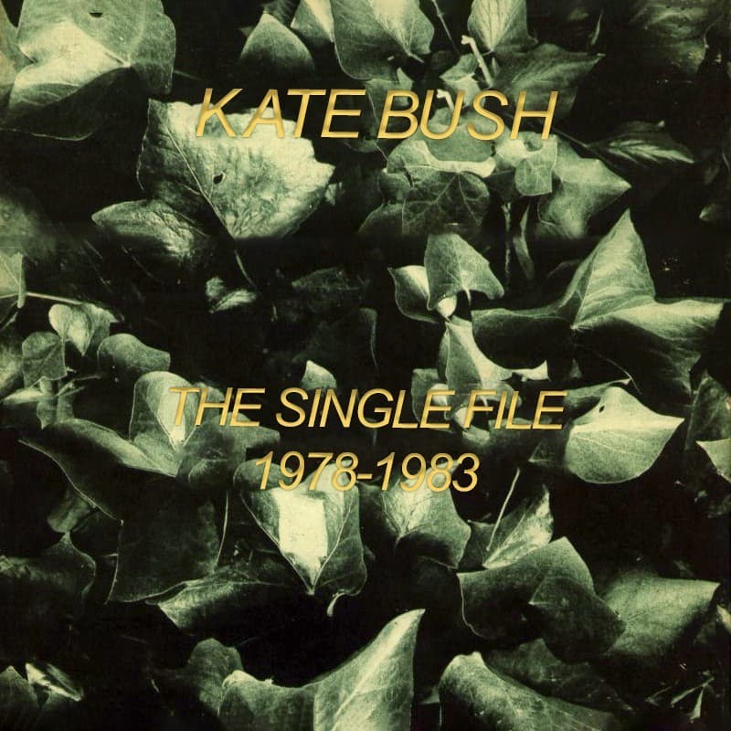 Cover image for The Single File (1978 - 1983)