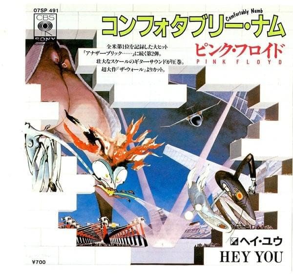 Album cover art for "Hey You" by Pink Floyd