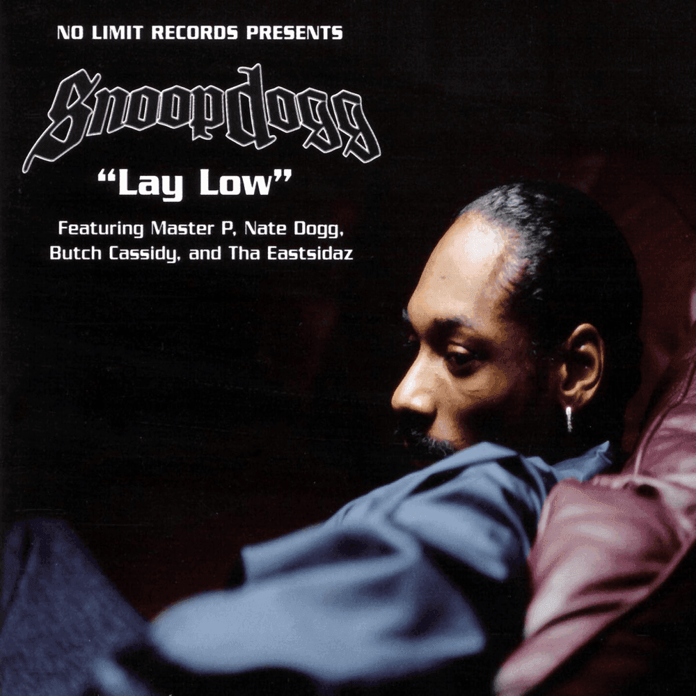 Album cover art for "Lay Low" by Snoop Dogg & Tha Eastsidaz & Master P & Butch Cassidy & Nate Dogg