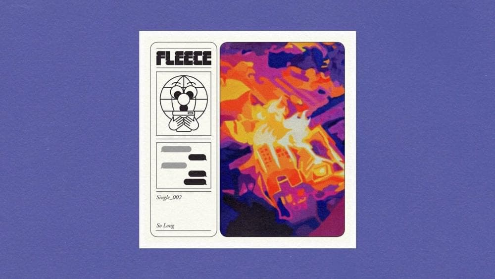 Album cover art for "So Long" by Fleece