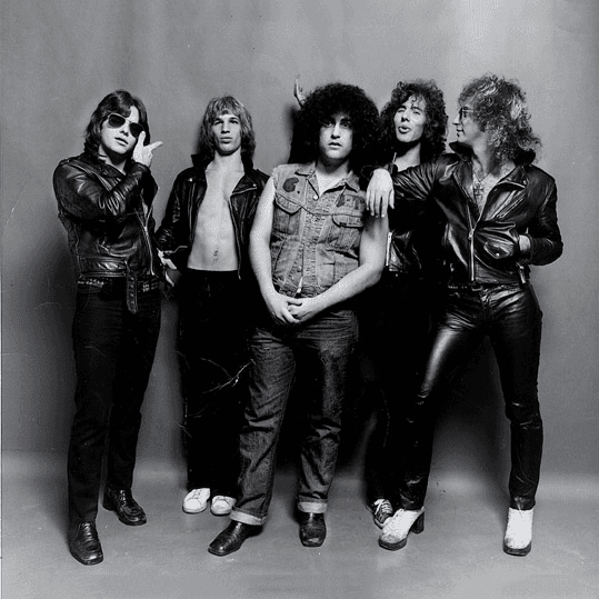 The Dictators profile image - Click to view artist page Cover image for The Dictators