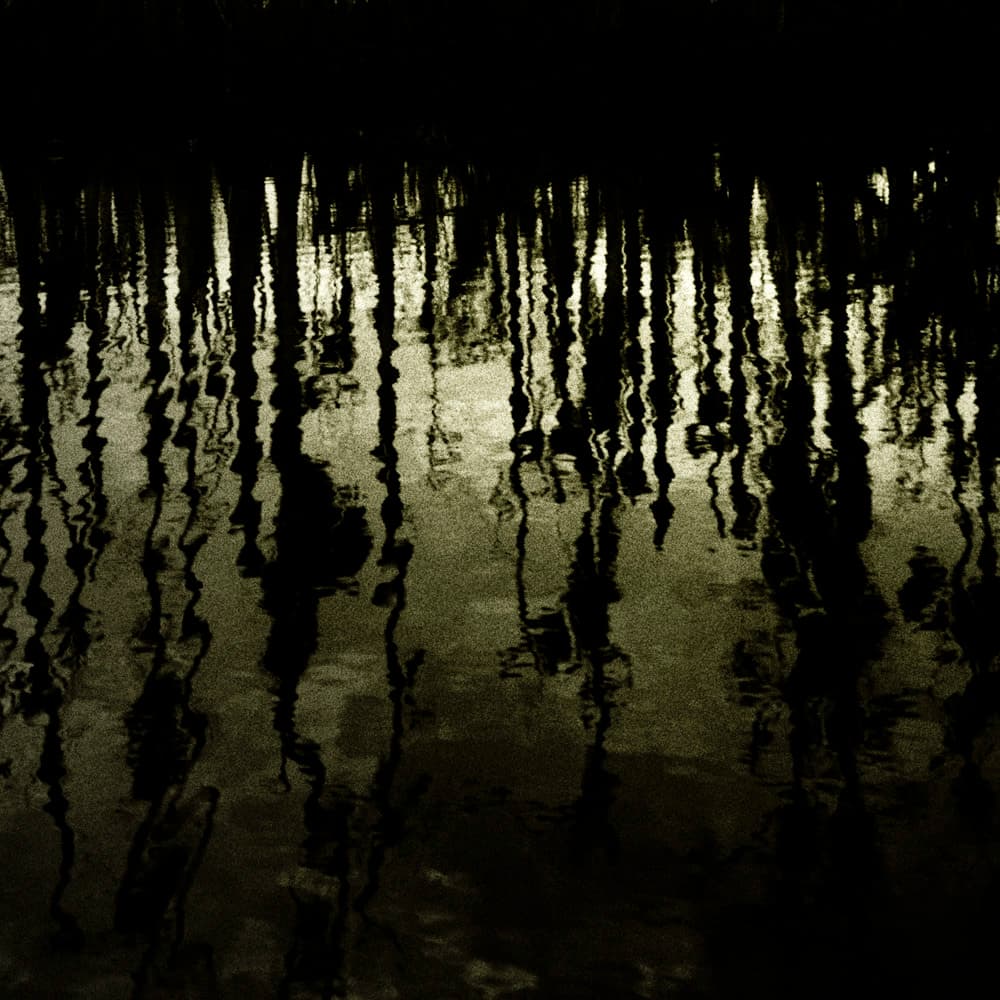 Album cover art for "10 Ghosts II" by Nine Inch Nails