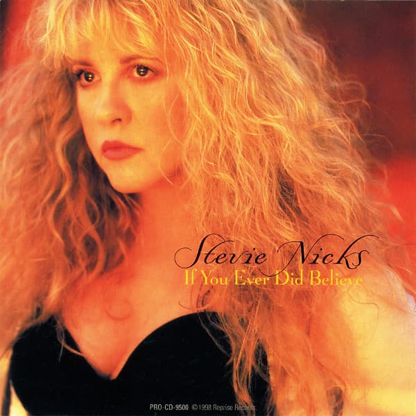 Album cover art for "If You Ever Did Believe" by Stevie Nicks