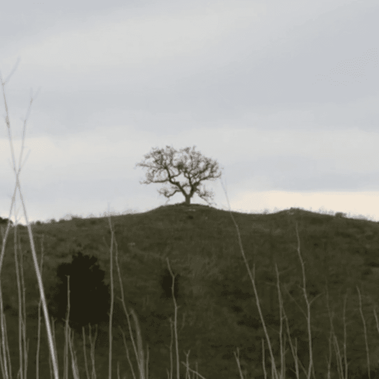 Album cover art for "fallen 4 Ü" by 100 gecs