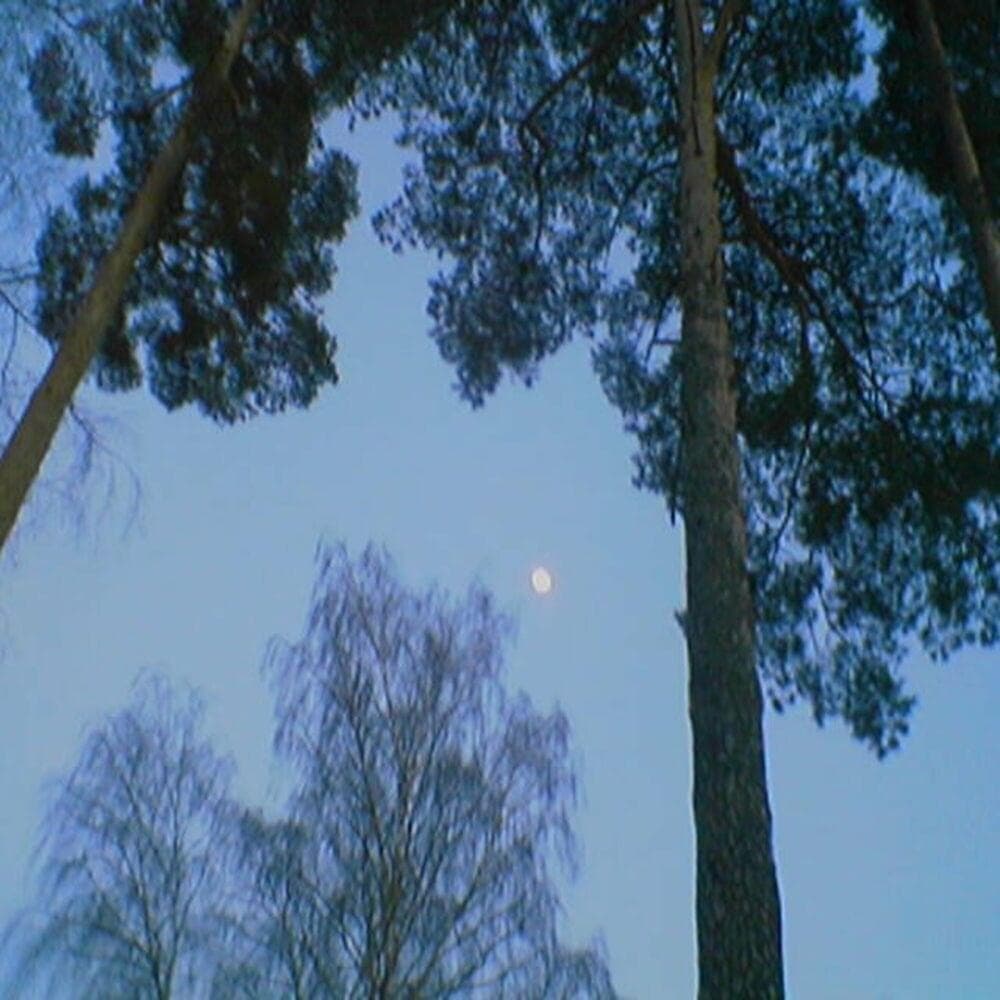 Album cover art for "и засыпаю в лифтах (And I Fall Asleep in Elevators)" by найтивыход (naytivykhod)