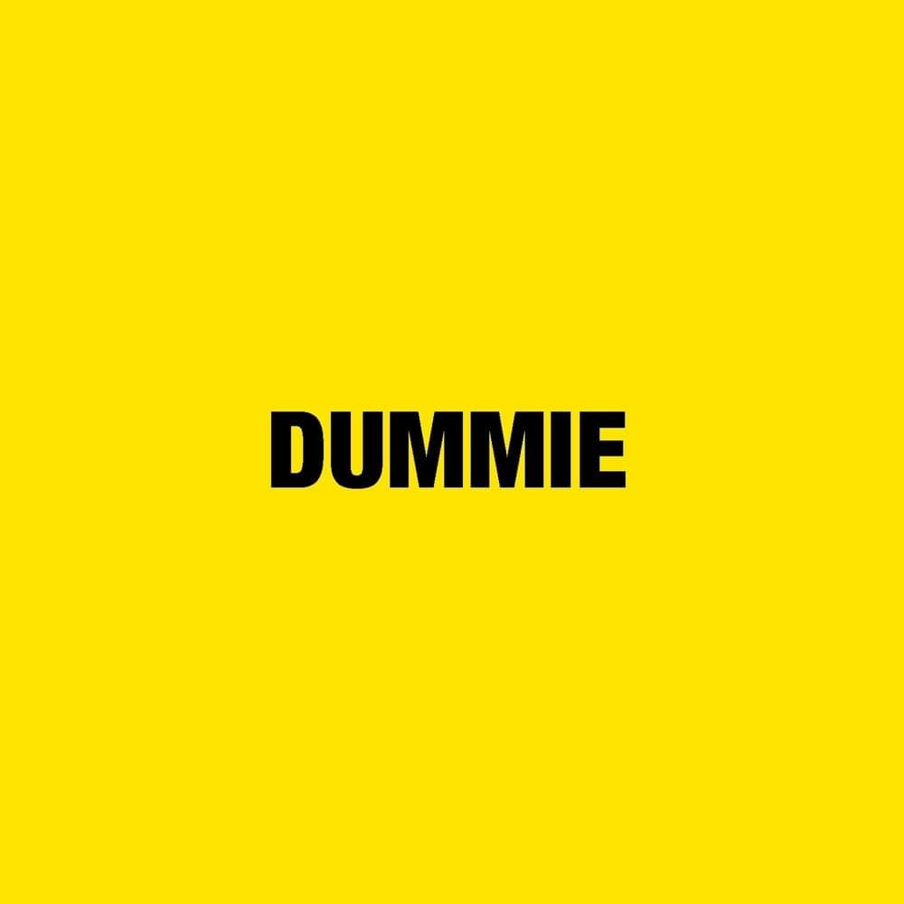 Cover image for DUMMIE