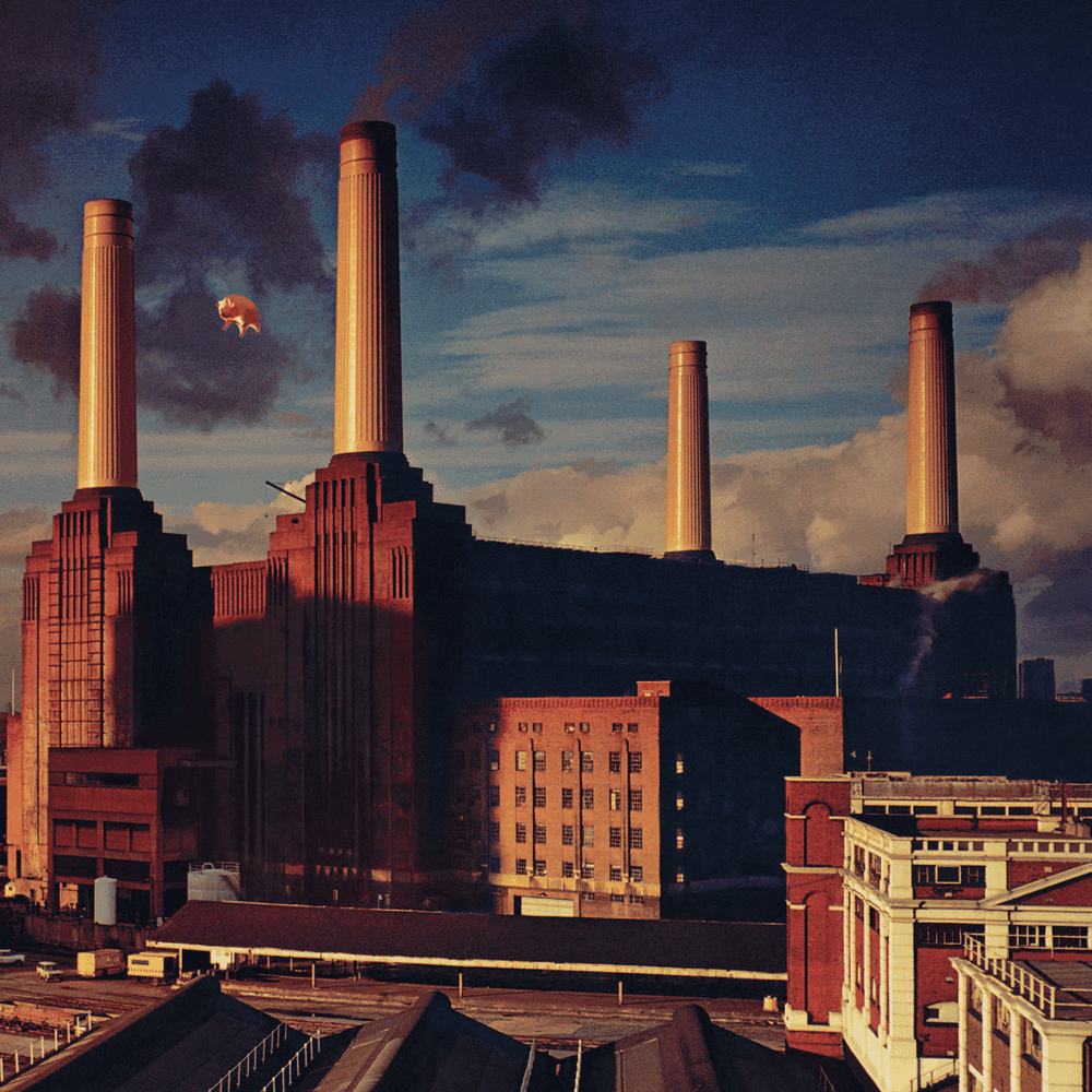 Album cover art for "Dogs" by Pink Floyd