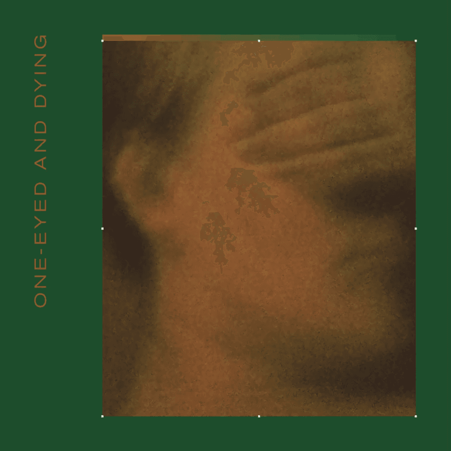 Album cover art for "One-Eyed And Dying" by VETO