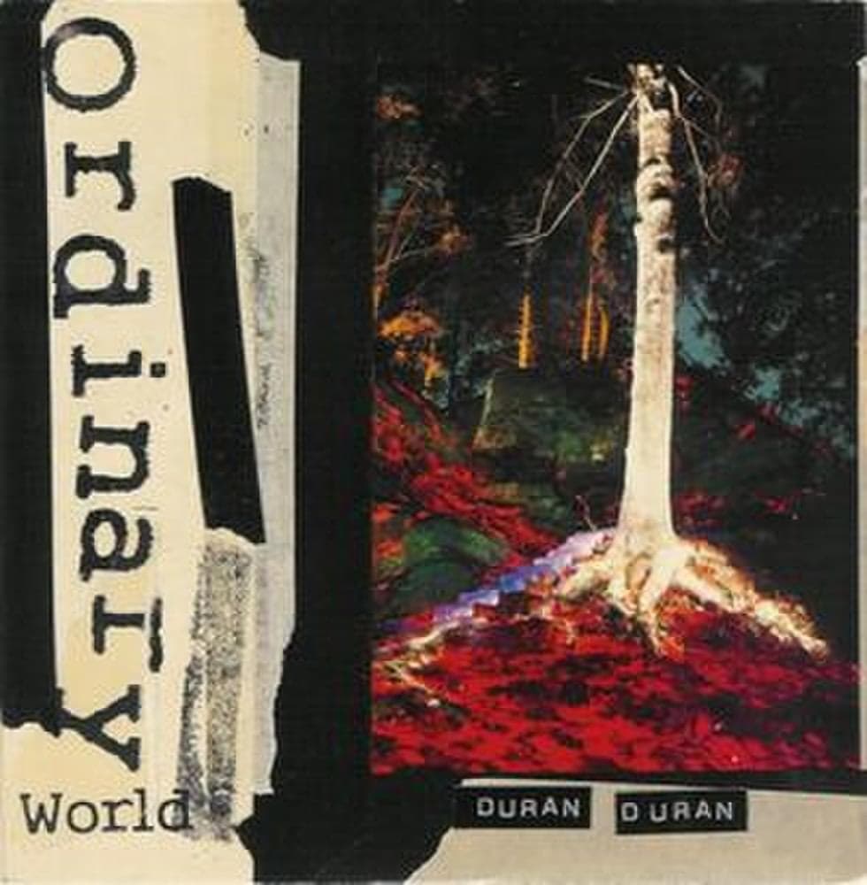 Album cover art for "Ordinary World" by Duran Duran