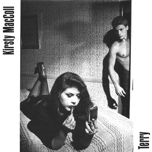 Cover image for  Terry