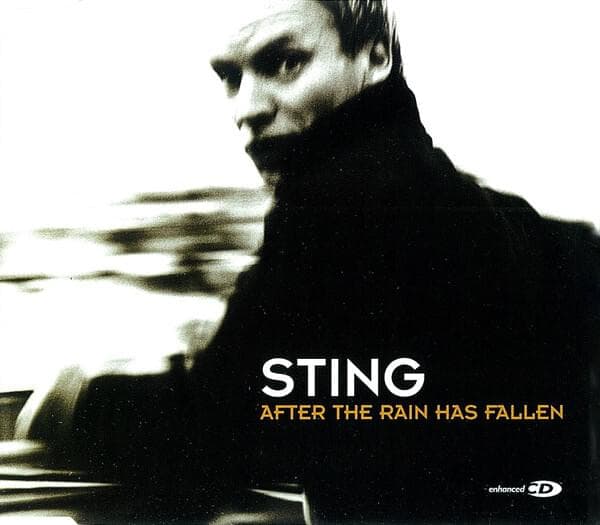 Album cover art for "After the Rain Has Fallen" by Sting