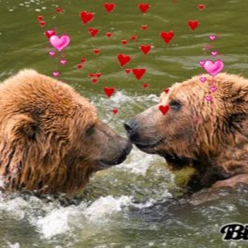 Album cover art for "tie" by Clairo