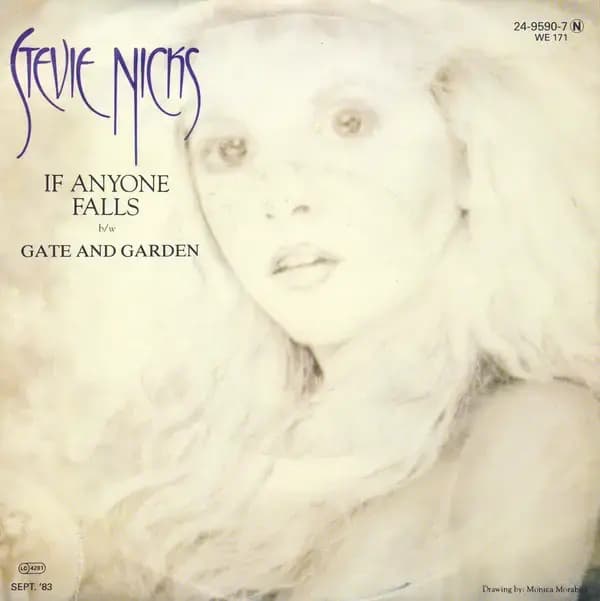 Album cover art for "If Anyone Falls" by Stevie Nicks