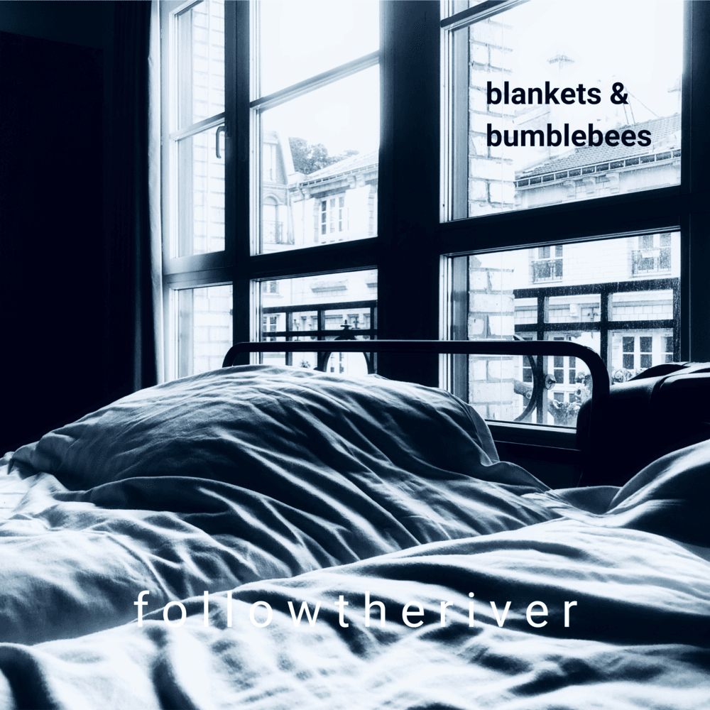 Cover image for Blankets & Bumblebees - EP