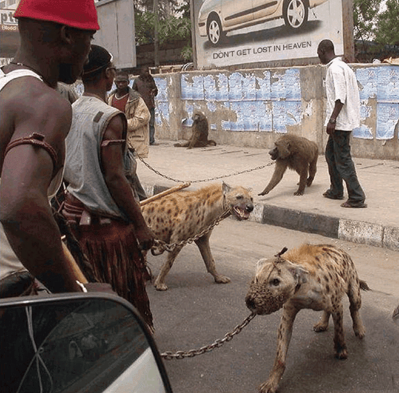 Album cover art for "Don't Get Lost in Heaven" by Gorillaz
