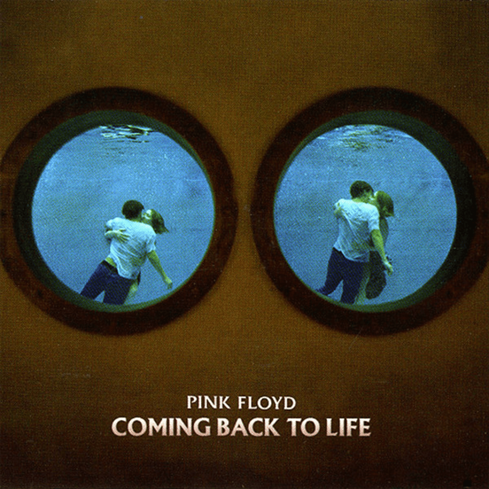 Album cover art for "Coming Back to Life" by Pink Floyd