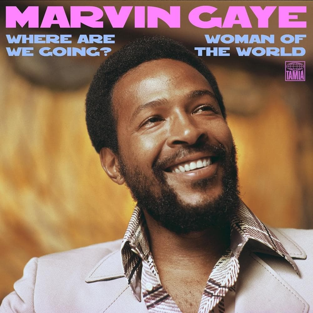 Album cover art for "Where Are We Going?" by Marvin Gaye