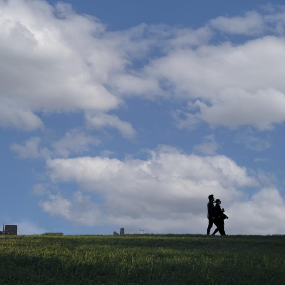 Album cover art for "backseat" by Fred again..