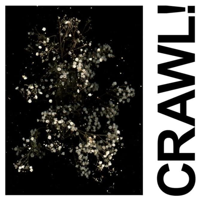 Cover image for Crawl! (DGG Edit)