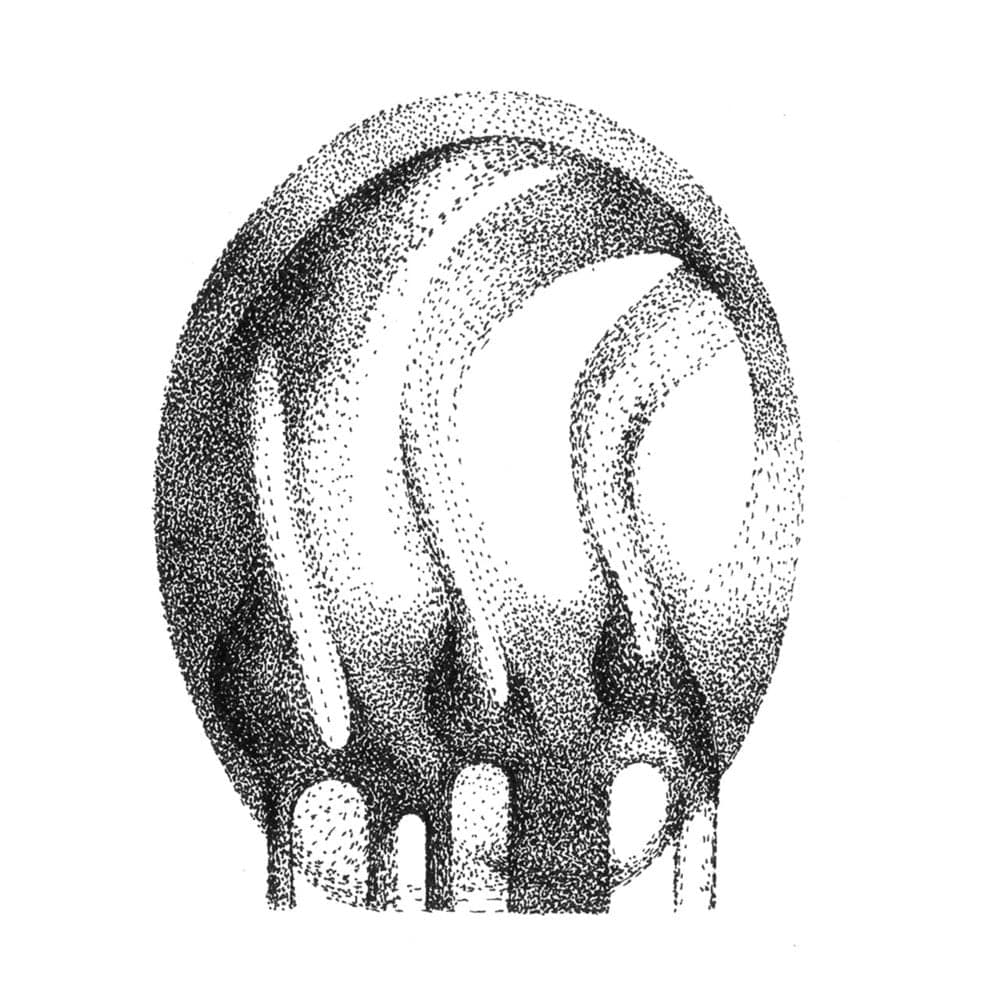 Album cover art for "Žali Bože truda" by Yoko Ono