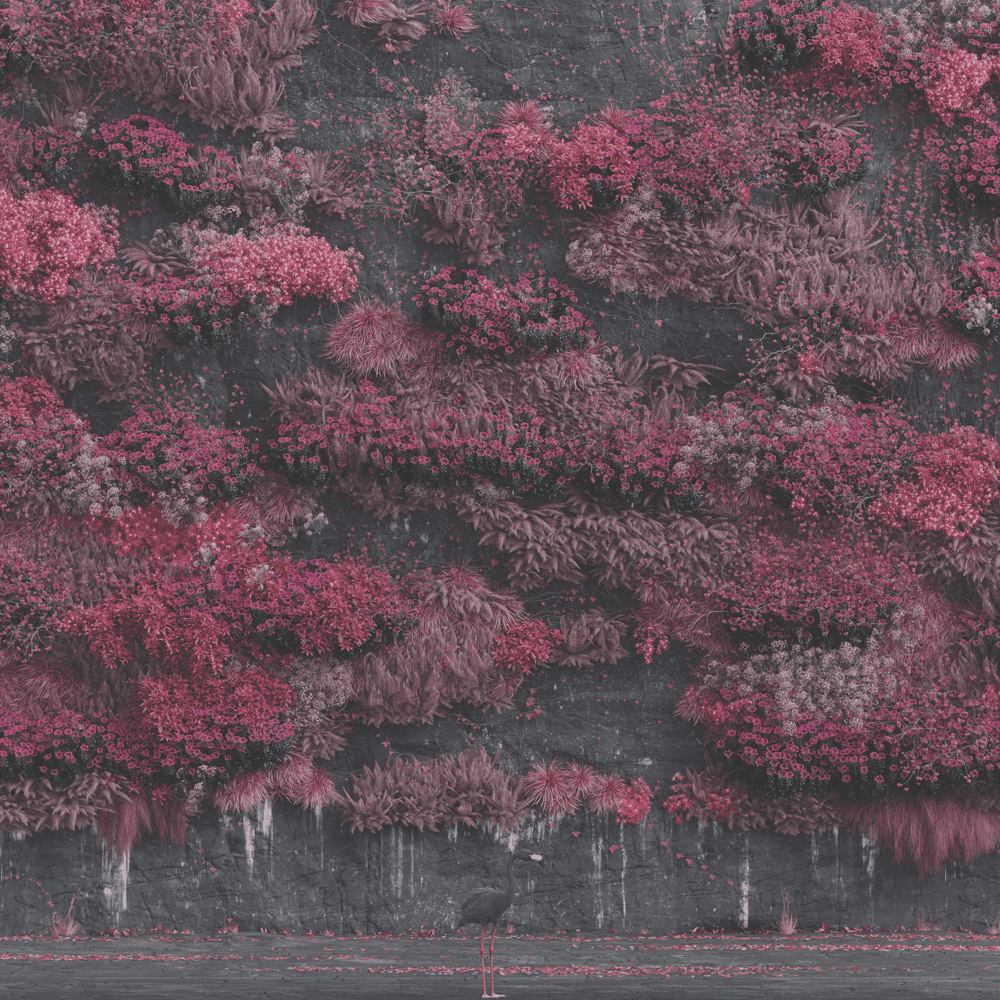 Cover image for Even In Arcadia