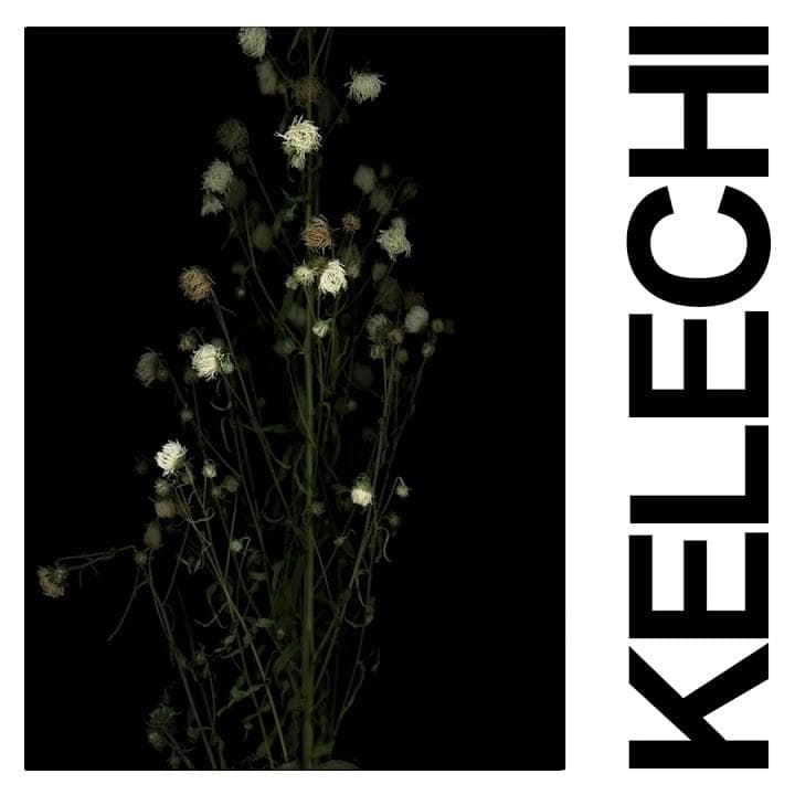 Album cover art for "Kelechi" by IDLES