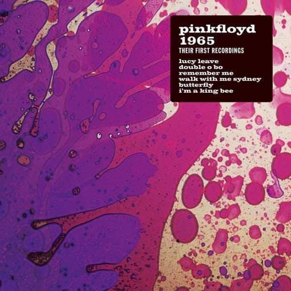 Album cover art for "Remember Me" by Pink Floyd