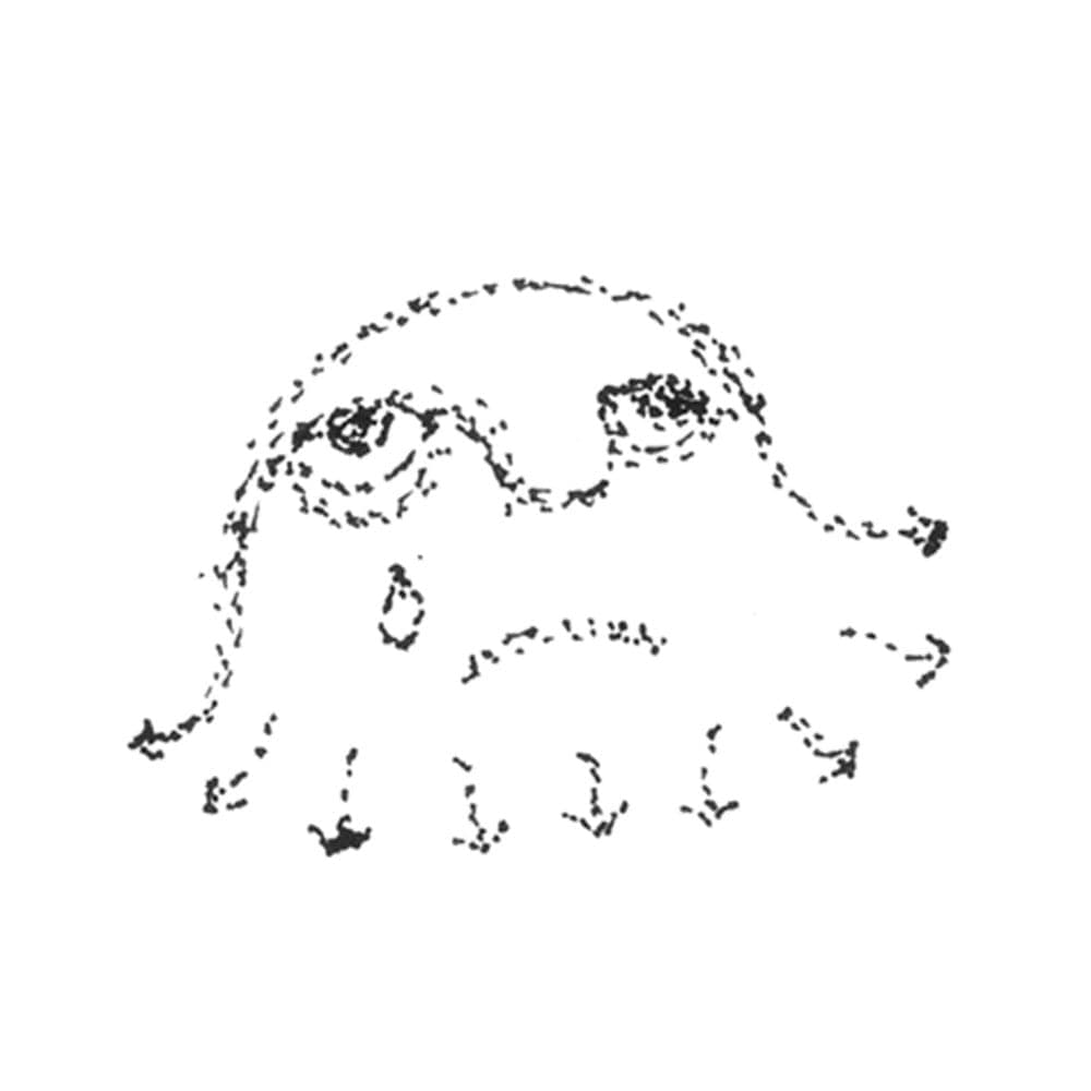 Album cover art for "Ko li te sad miluje" by Yoko Ono