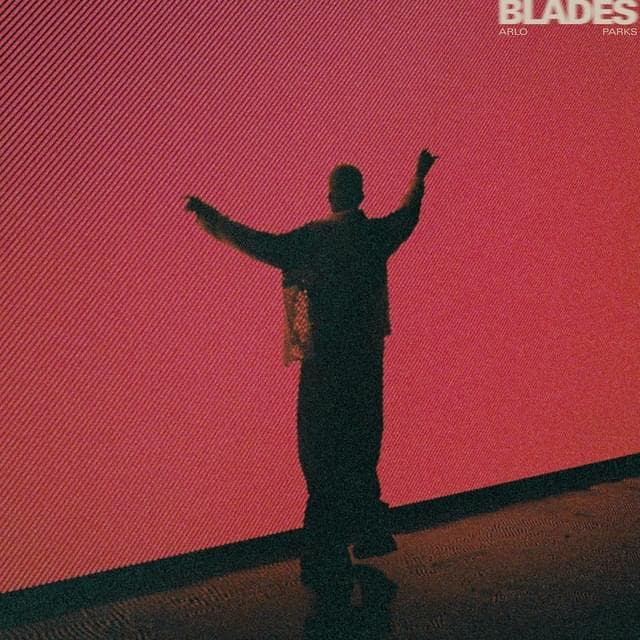 Album cover art for "Blades" by Arlo Parks