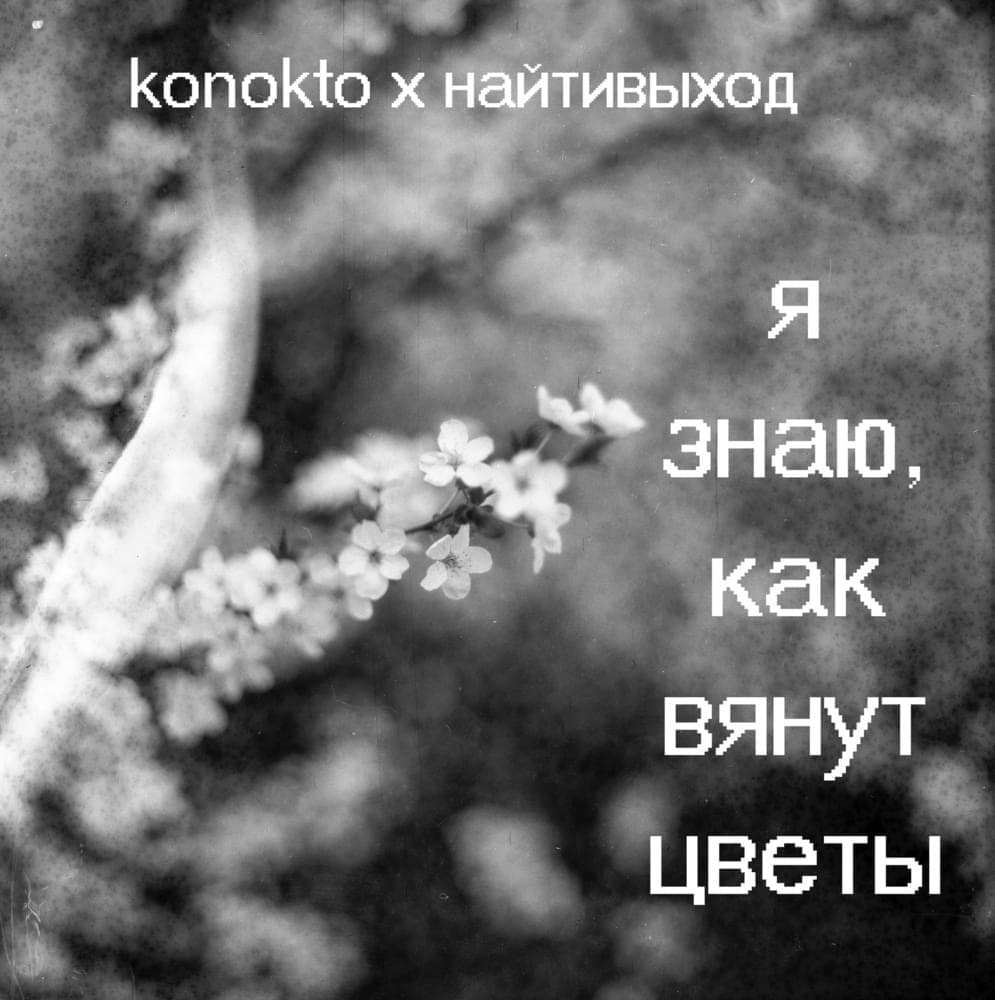 Album cover art for "я знаю, как вянут цветы (I know how flowers wither)" by найтивыход (naytivykhod) & KONOKTO