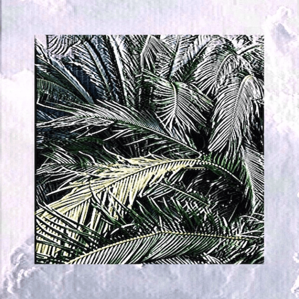 Album cover art for "Flodgin'" by $uicideboy$