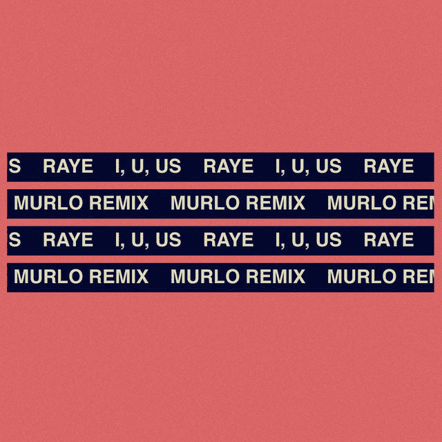 Album cover art for "When It All Goes Down" by RAYE