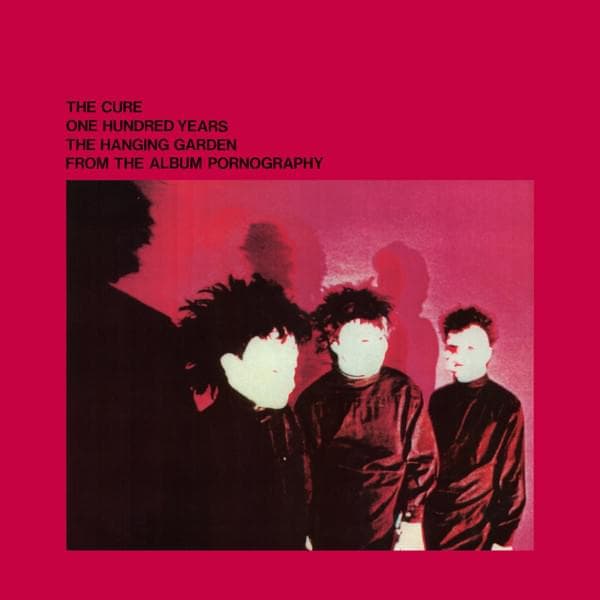 Album cover art for "One Hundred Years" by The Cure