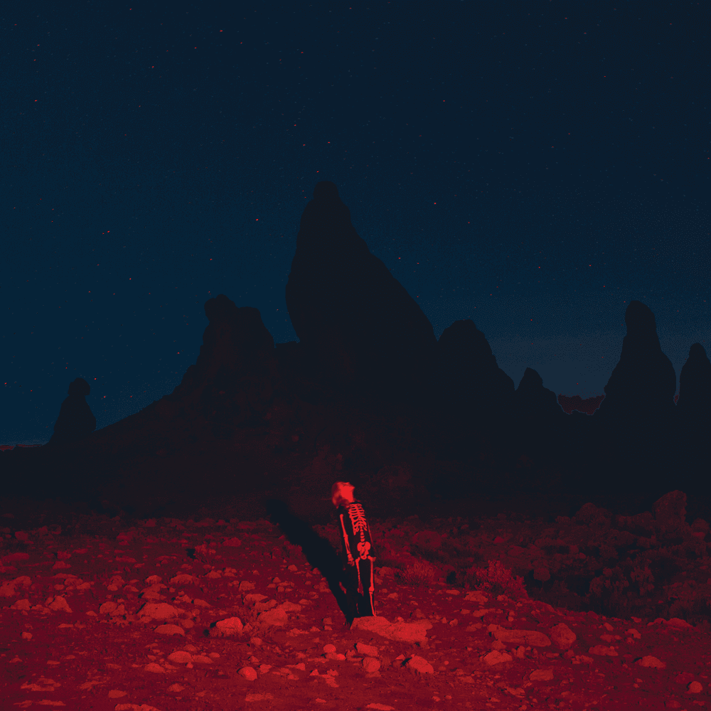 Album cover art for "Savior Complex" by Phoebe Bridgers