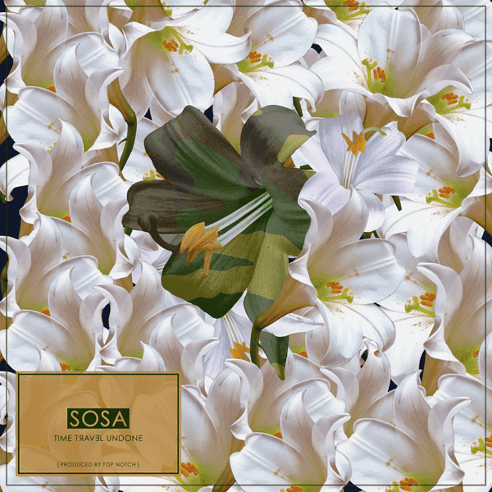 Album cover art for "Chce mi się śmiać" by SZA