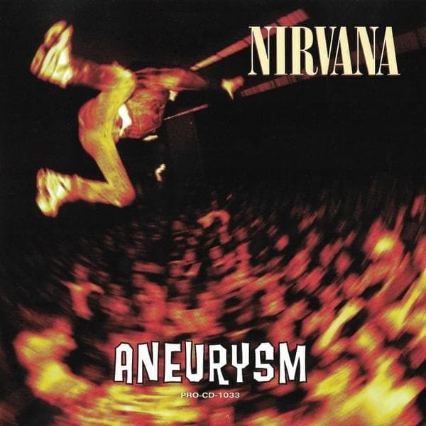 Album cover art for "Aneurysm (Live at Del Mar Fairgrounds, CA., December 28, 1991)" by Nirvana
