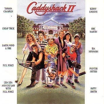 Album cover art for "Nobody's Fool (Theme from "Caddyshack II")" by Kenny Loggins