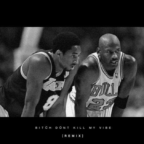 Album cover art for "Bitch, Don't Kill My Vibe (Remix)" by Kendrick Lamar & JAY-Z