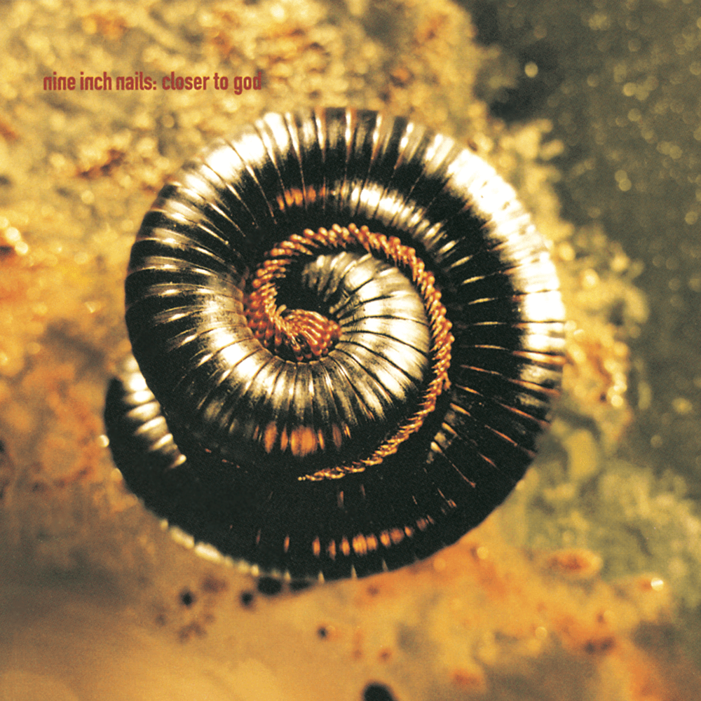 Album cover art for "Closer" by Nine Inch Nails