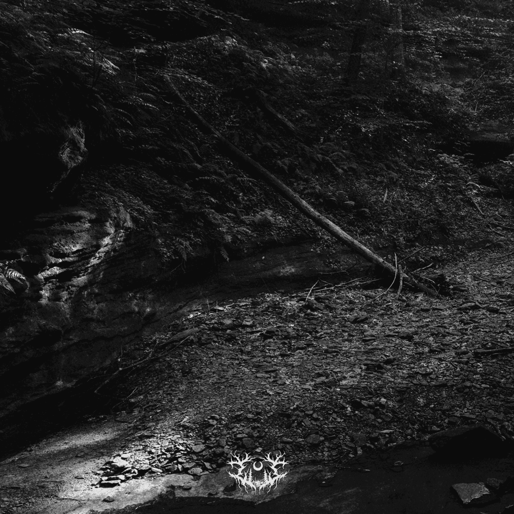 Album cover art for "Into the Earth" by Lorna Shore