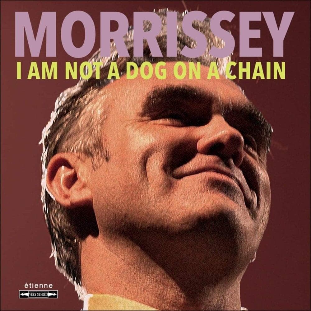 Album cover art for "Once I Saw the River Clean" by Morrissey
