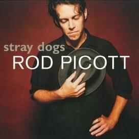 Stray Dogs (artist: Rod Picott)