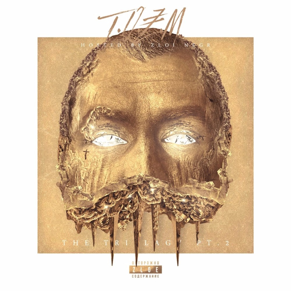 Т.О.З.М (T.O.Z.M)