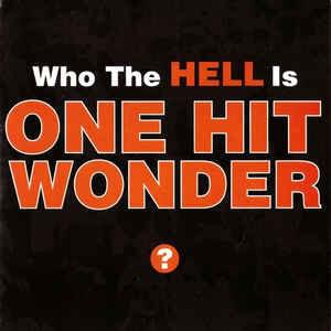 Who the Hell Is One Hit Wonder?
