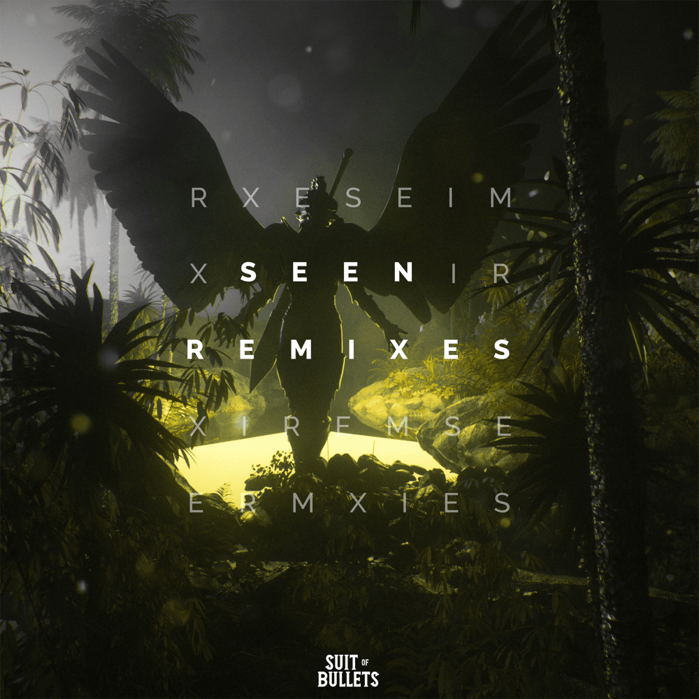 Seen [Remixes]