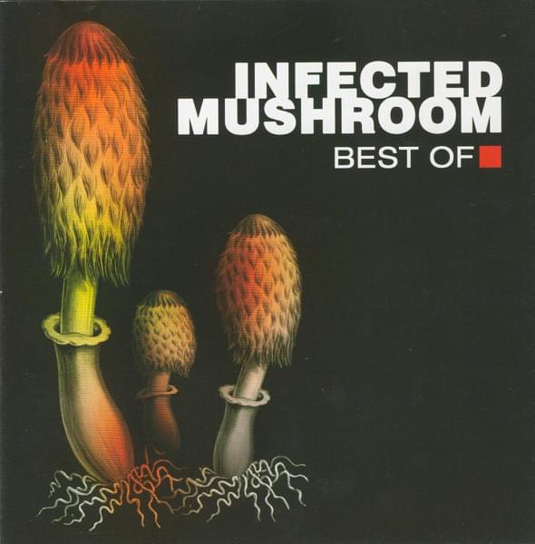 Best Of Infected Mushroom