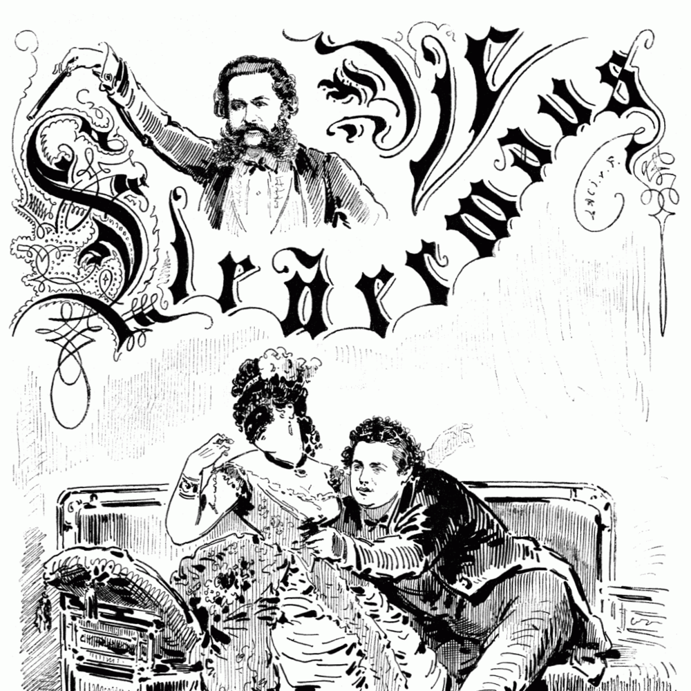 Die Fledermaus