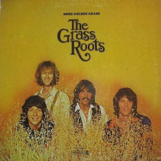 More Golden Grass