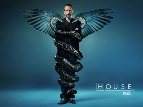 Episodic Television (House M.D)